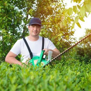 Dedicated Staff | Land O Lakes, FL | Turning Point Property Maintenance