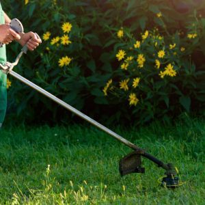 Full Service Hedge and Shrub Trimming | Land O Lakes, FL | Turning Point Property Maintenance