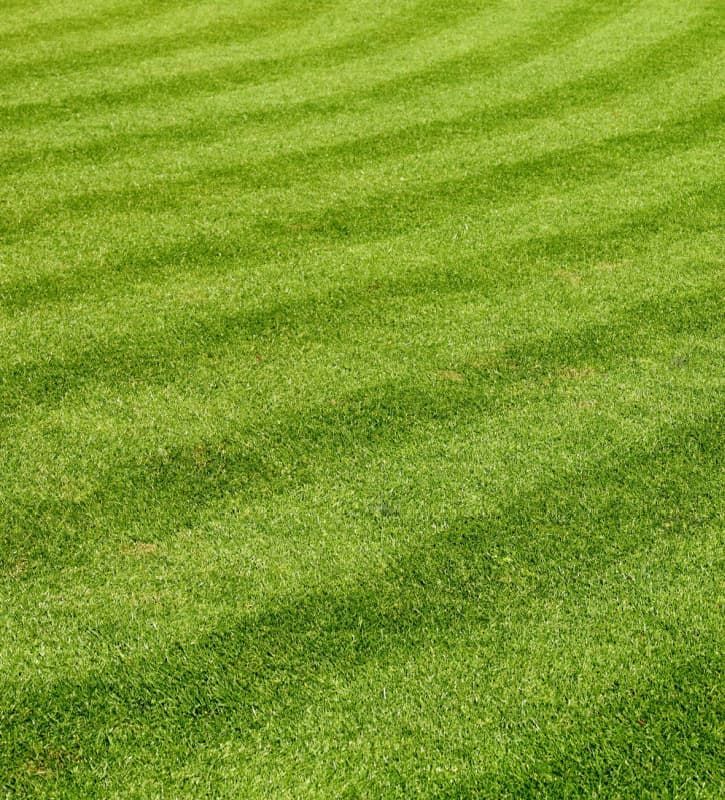 lawn mower Pasco County