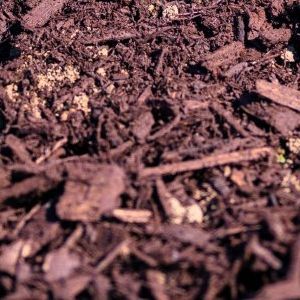 Quality | Land O Lakes, FL | Turning Point Property Maintenance
