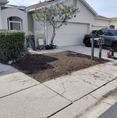 Over Three Decades of Experience | Land O Lakes, FL | Turning Point Property Maintenance