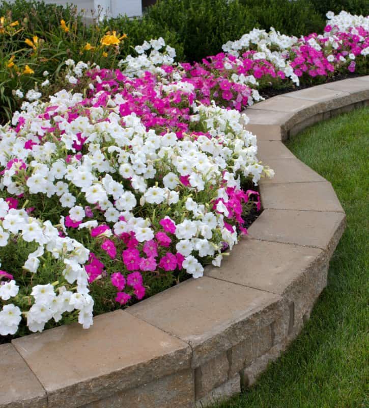 stone wall installation pasco fl