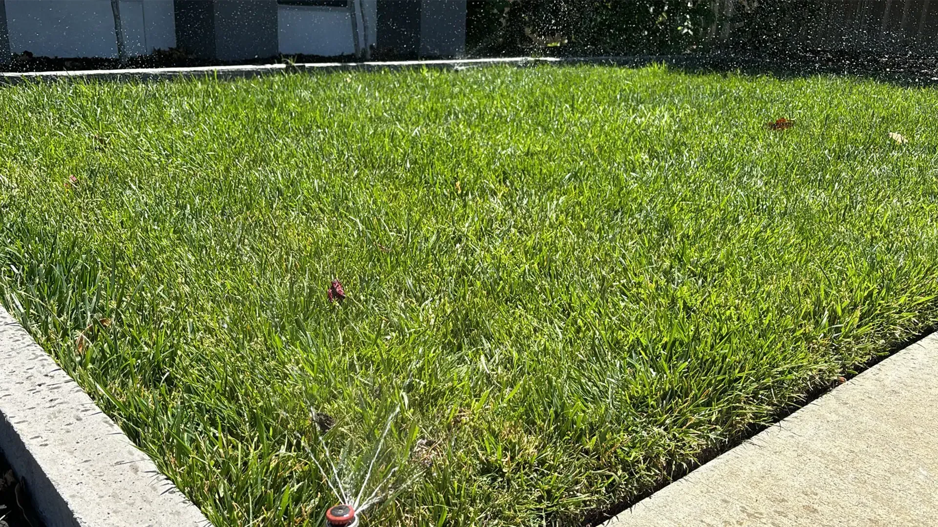Kanga Dig it provides, installs and maintains high quality turf in Ballarat 
