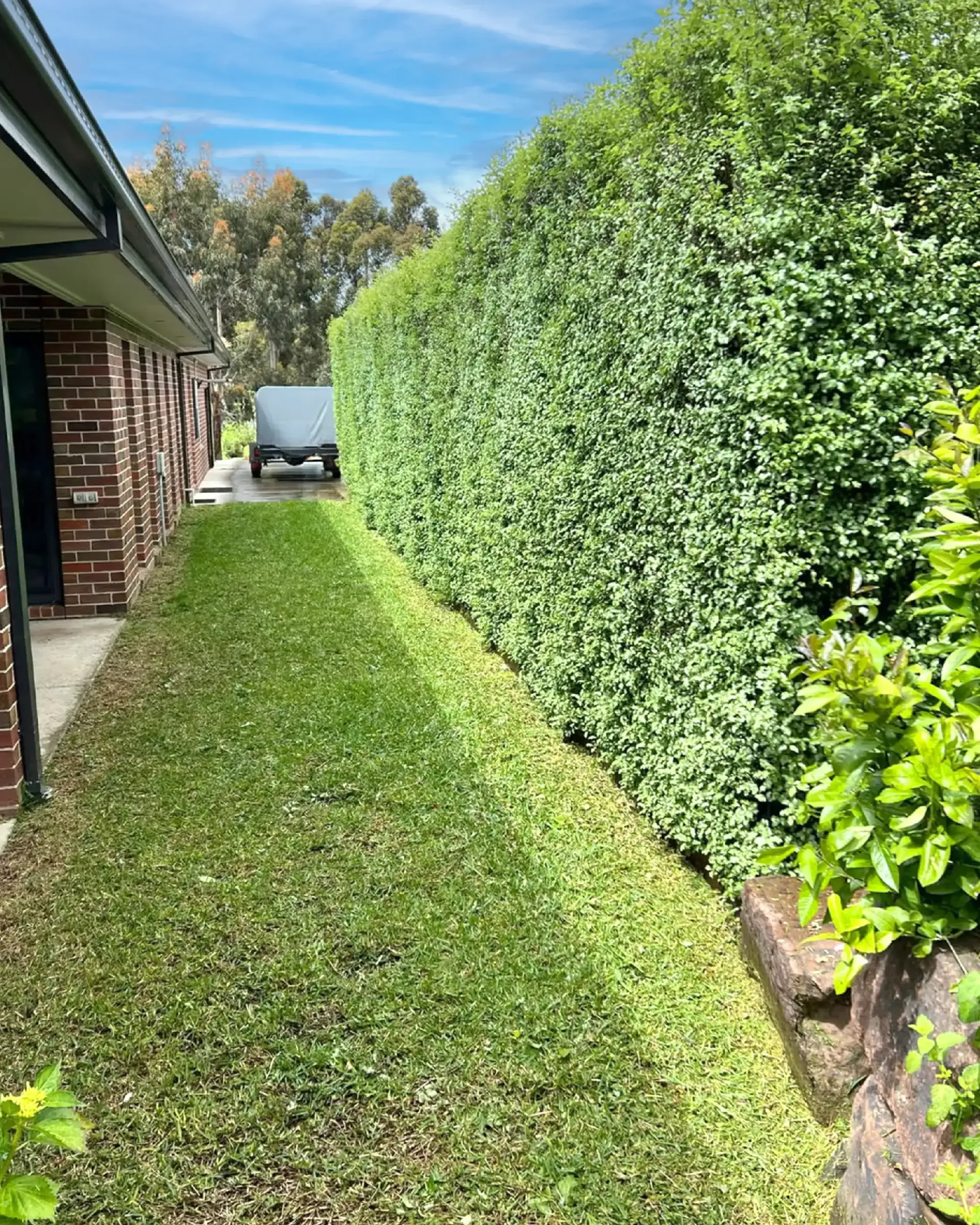 Landscaping Ballarat Kanga Digit - Miners Rest ongoing garden maintenance 