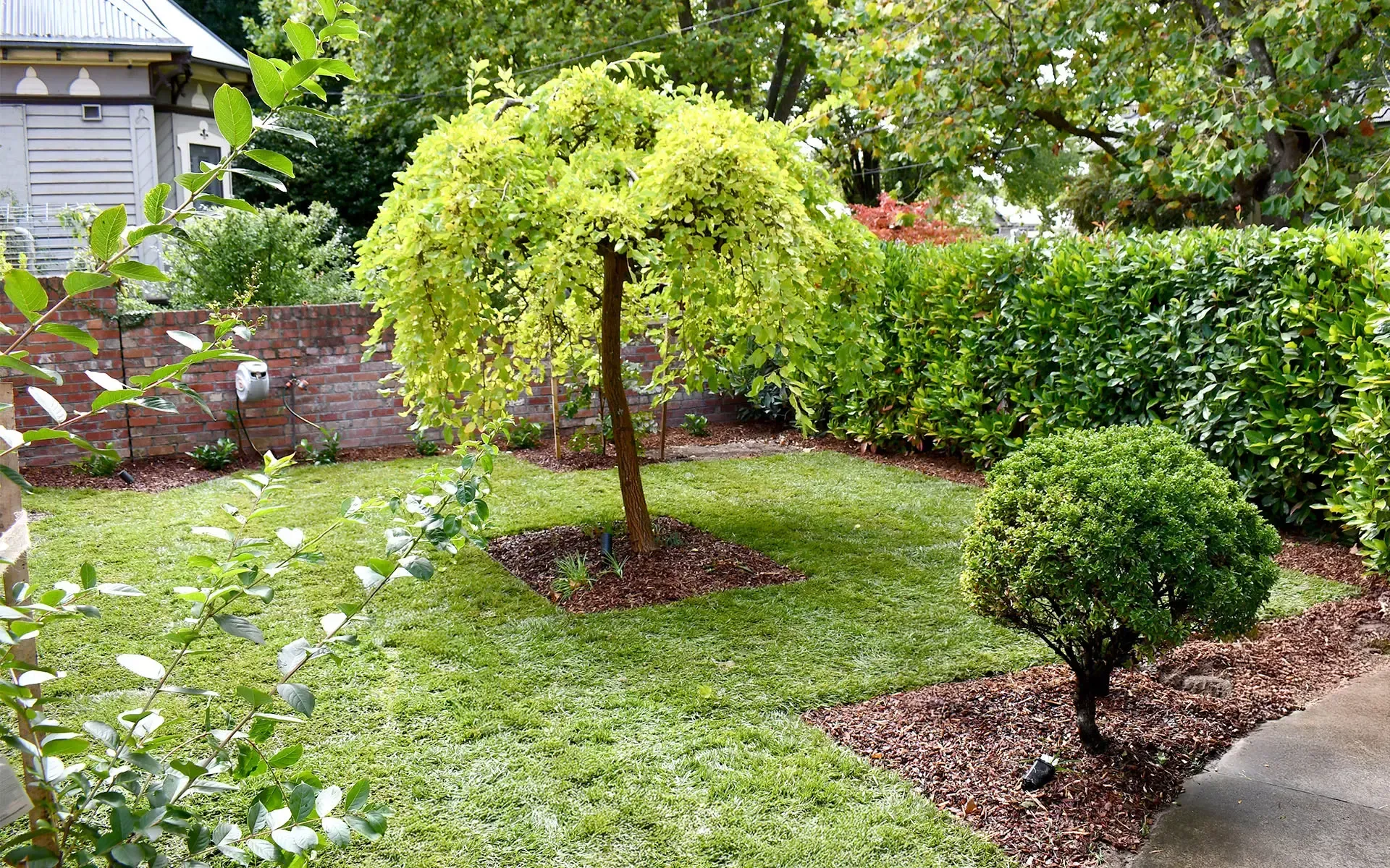 Kanga Digit Landscaping Ballarat - Turf, Irrigation, Planting, Gardening