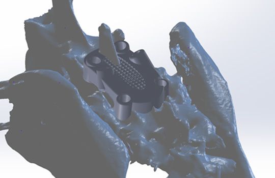 A close up of a 3d model of a skull