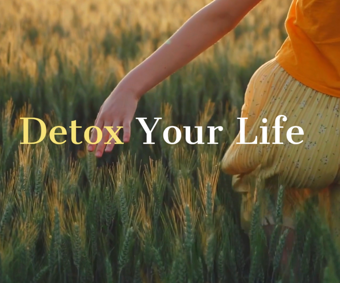 Detox your live cursus