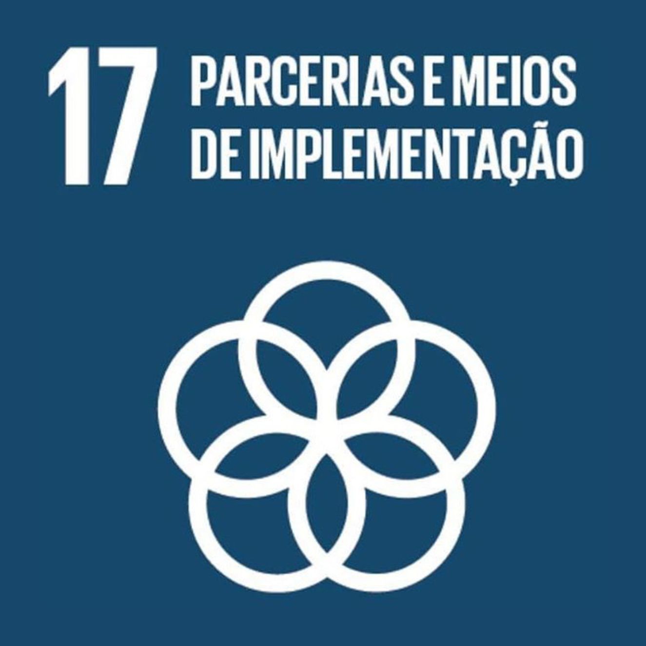 Logotipo da ONU para o Objetivo de Desenvolvimento sistentável 17