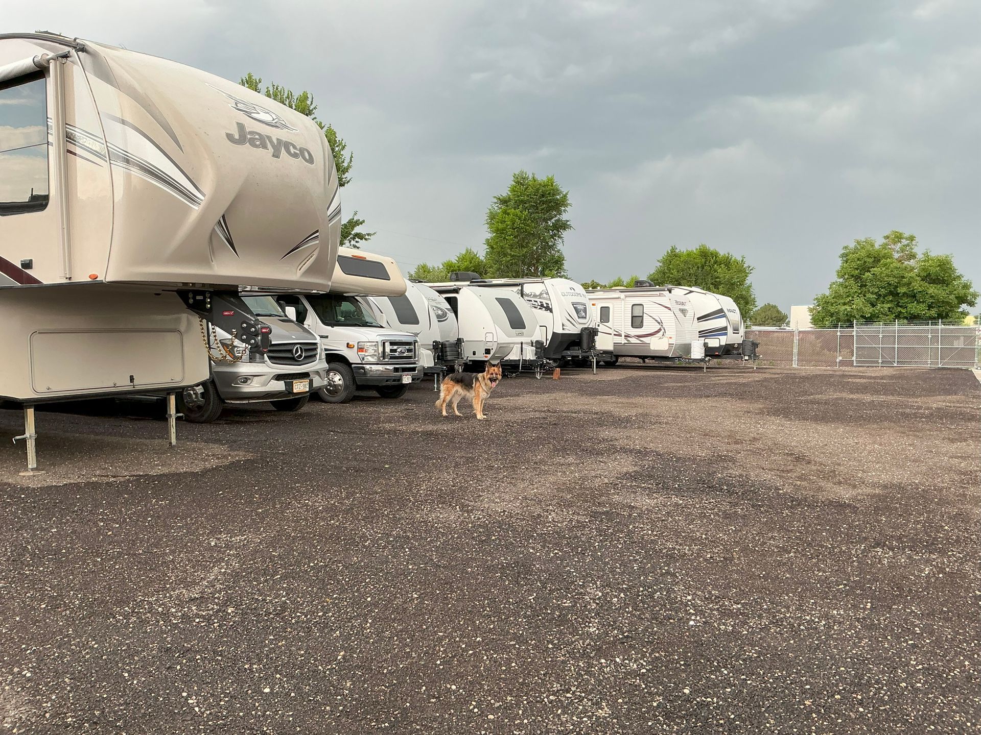 Dog in a gravel lot with multiple RVs parked under a cloudy sky.