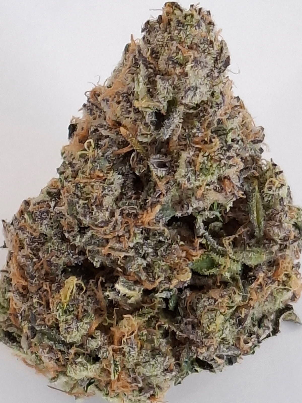 Close-up of a frosty cannabis bud with green, orange, and purple tones on a white background