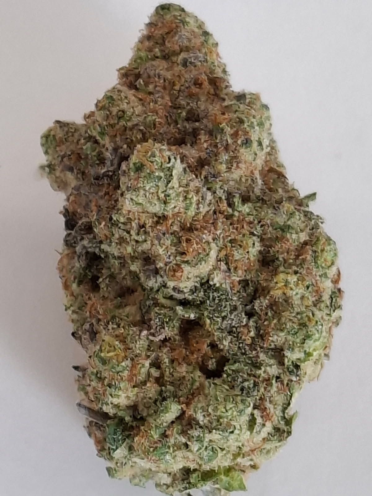 Close-up of a dense green and purple cannabis bud with orange hairs on a plain background