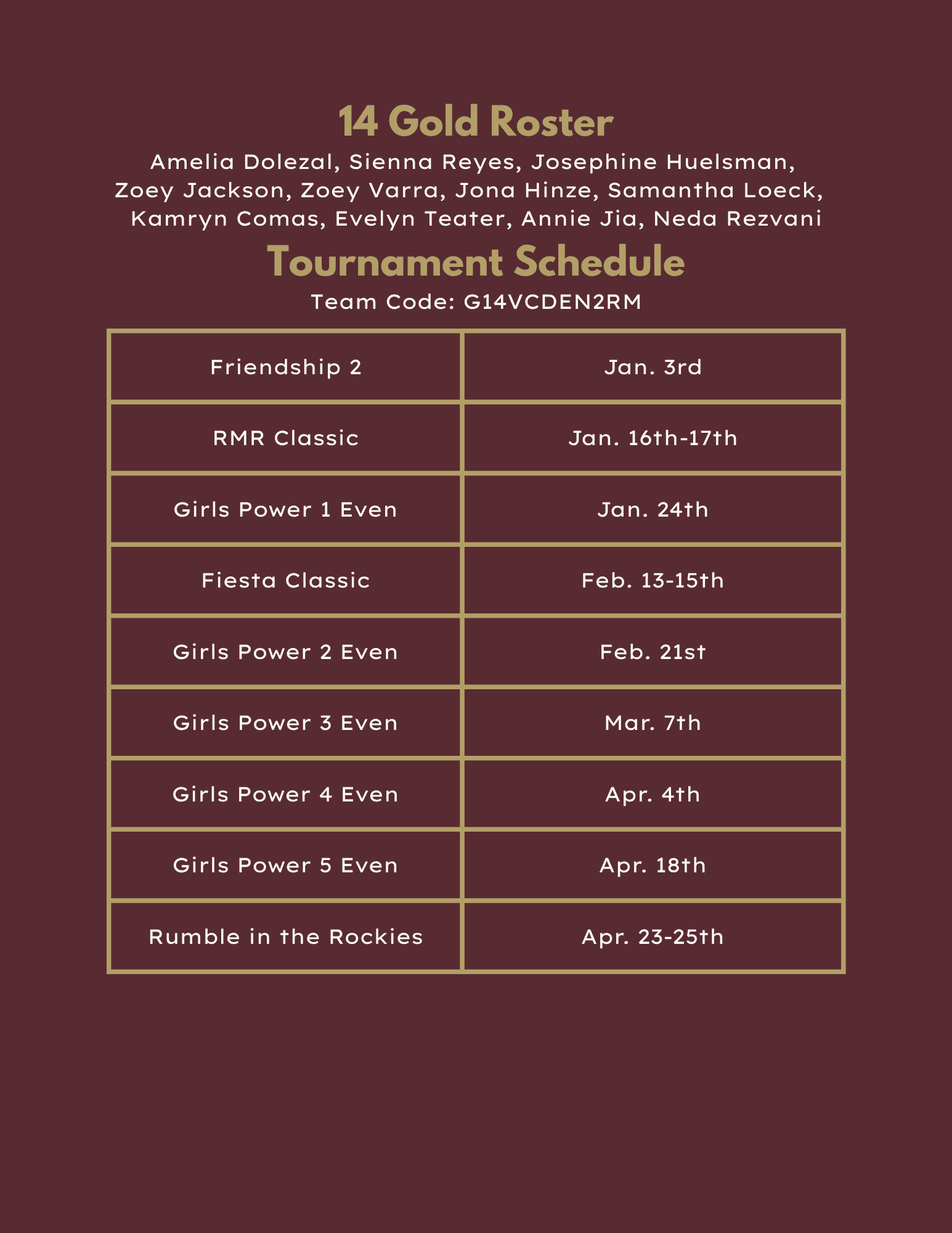 18 Black volleyball roster and tournament schedule in maroon tones.