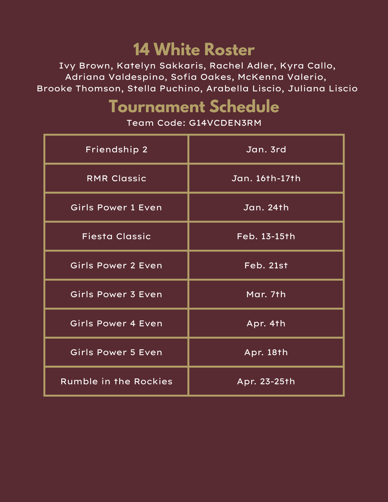 18 Black volleyball roster and tournament schedule in maroon tones.