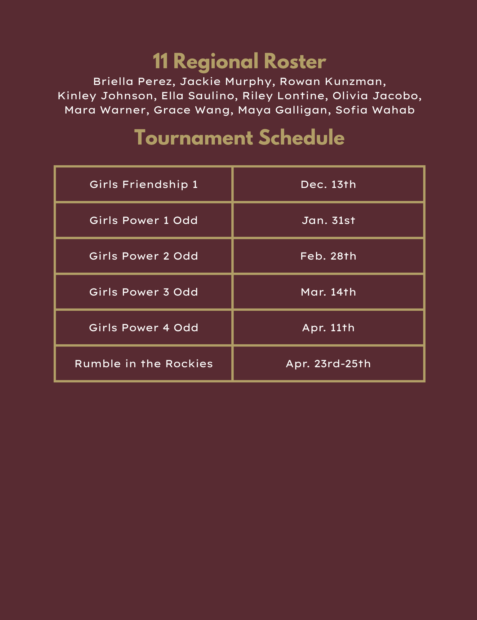 11 regional volleyball roster and tournament schedule in maroon tones.