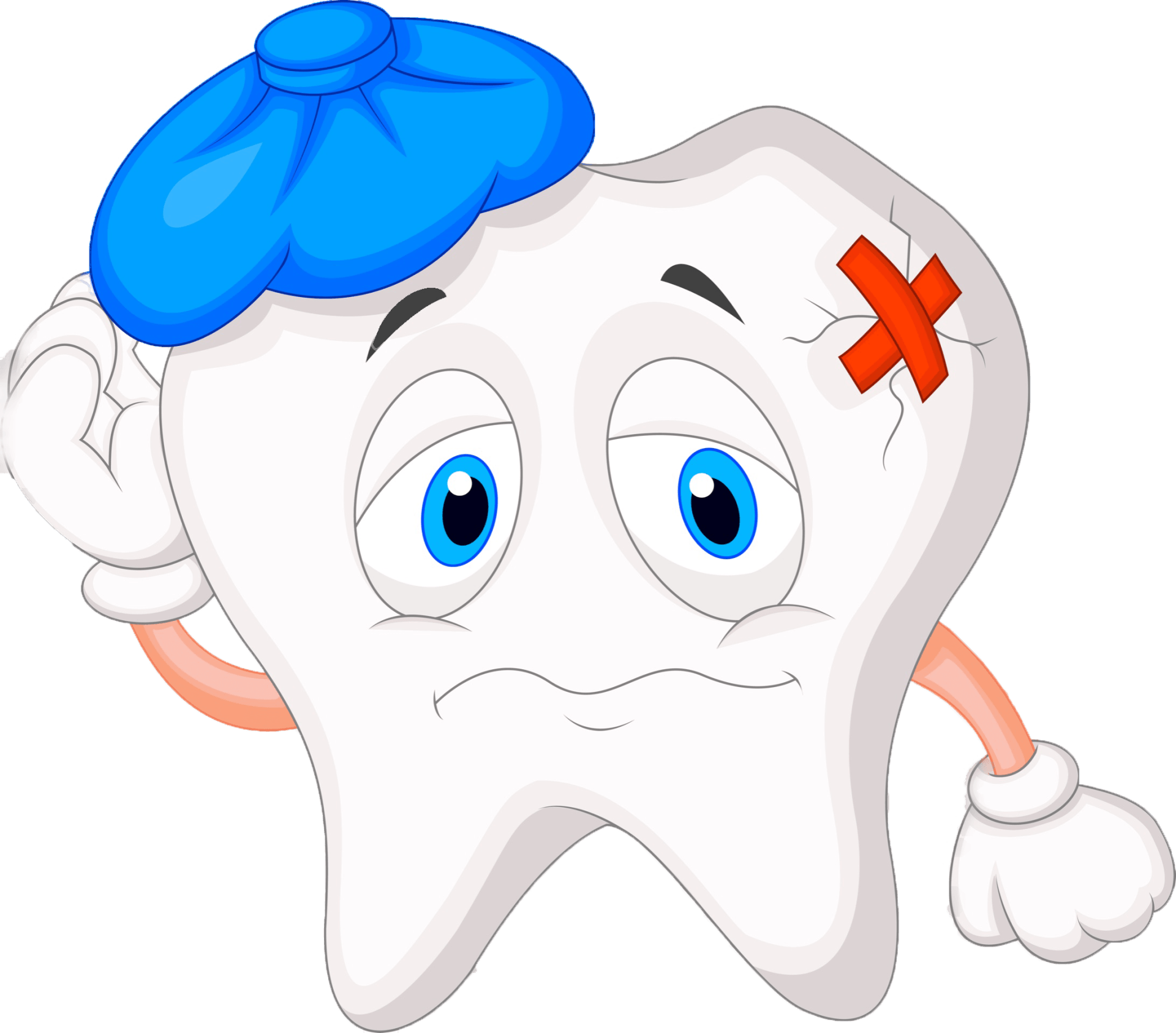 Tooth Illustration