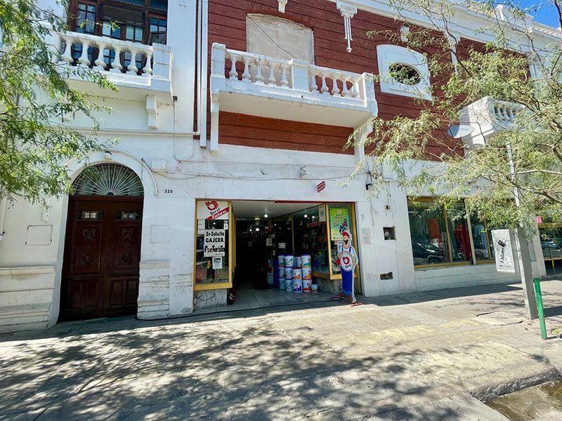 LA CASA DEL PINTOR