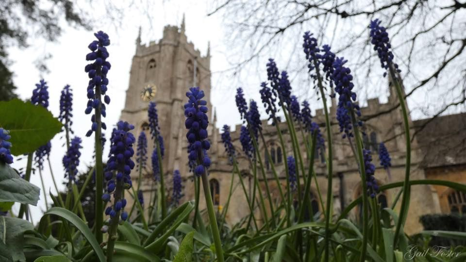 Blue flowers in the foreground with a stone church tower rising behind them under a cloudy sky