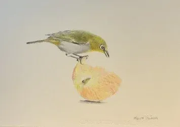 Small green bird perched on a yellow flower on a pale background