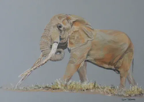 Elephant sketch on gray background, holding a long stick in its trunk while standing in grass.