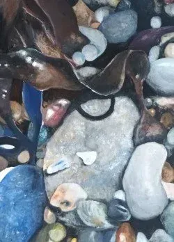 Abstract close-up of glossy dark shells and smooth gray pebbles with blue stones in between