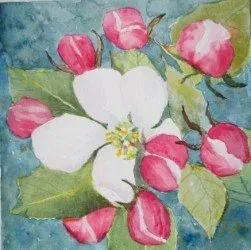 White flower with pink buds and green leaves on a blue background