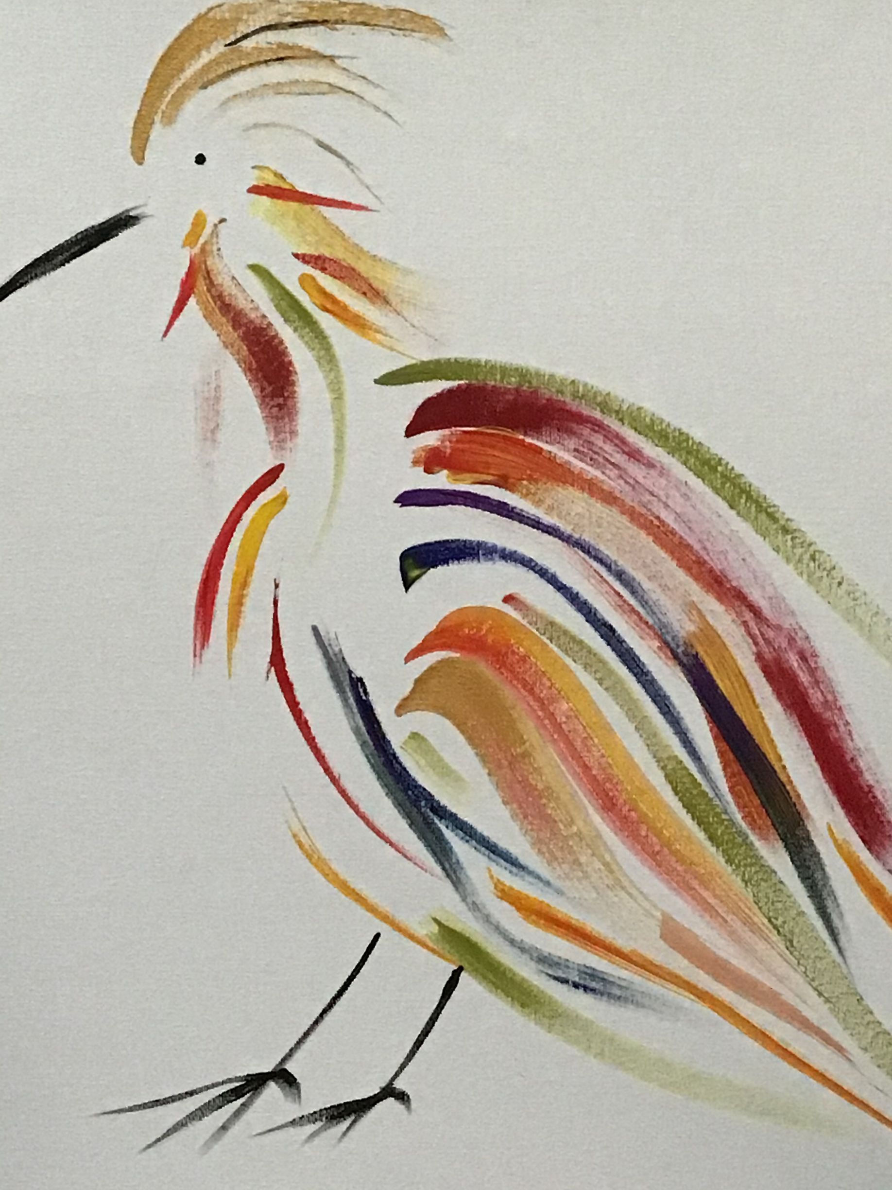 Abstract colorful bird sketch with sweeping red, yellow, green, and blue brushstrokes on a light background