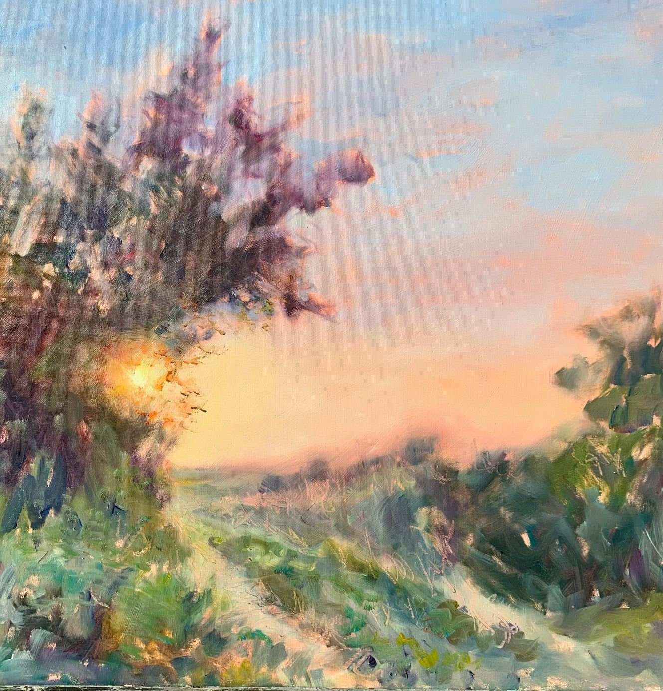 Devizes art society AGM