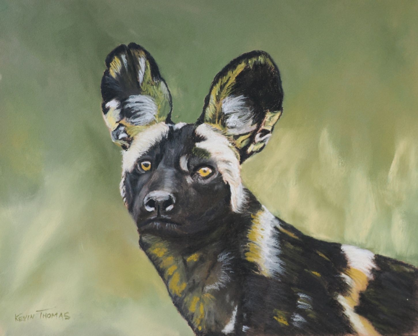 African wild dog portrait with alert ears against a soft green background