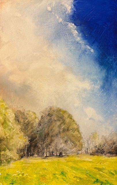 Sunlit meadow with trees under a dramatic blue-and-cream sky
