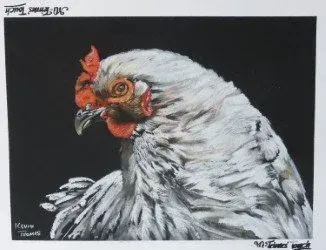 White chicken portrait with red comb and wattles on a dark background