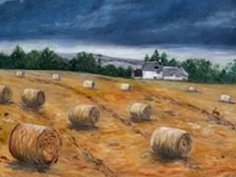 Hayfield with round hay bales under a dark cloudy sky, with a farmhouse in the distance