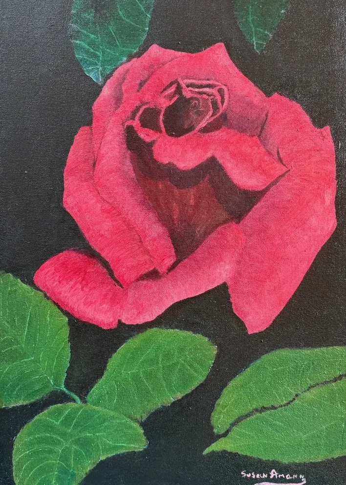 Pink rose blossom with green leaves on a dark background