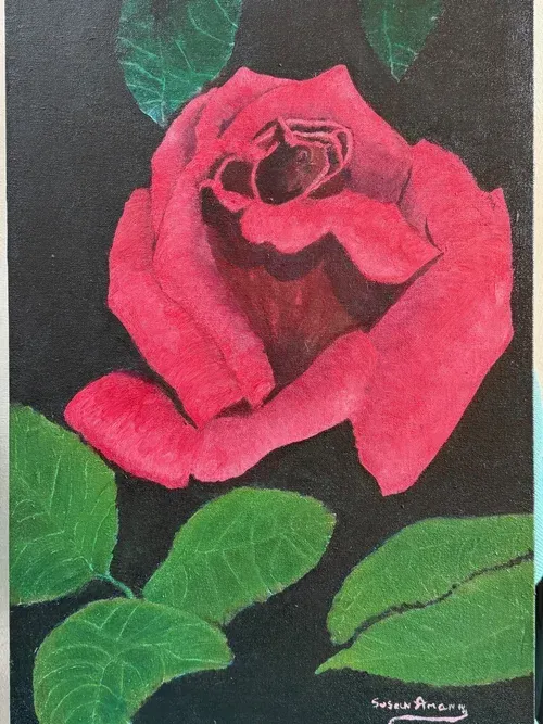 Pink rose with green leaves against a black background