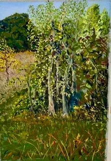 Sunlit trees and tall grass in a meadow with a blue sky, painted in impressionist style