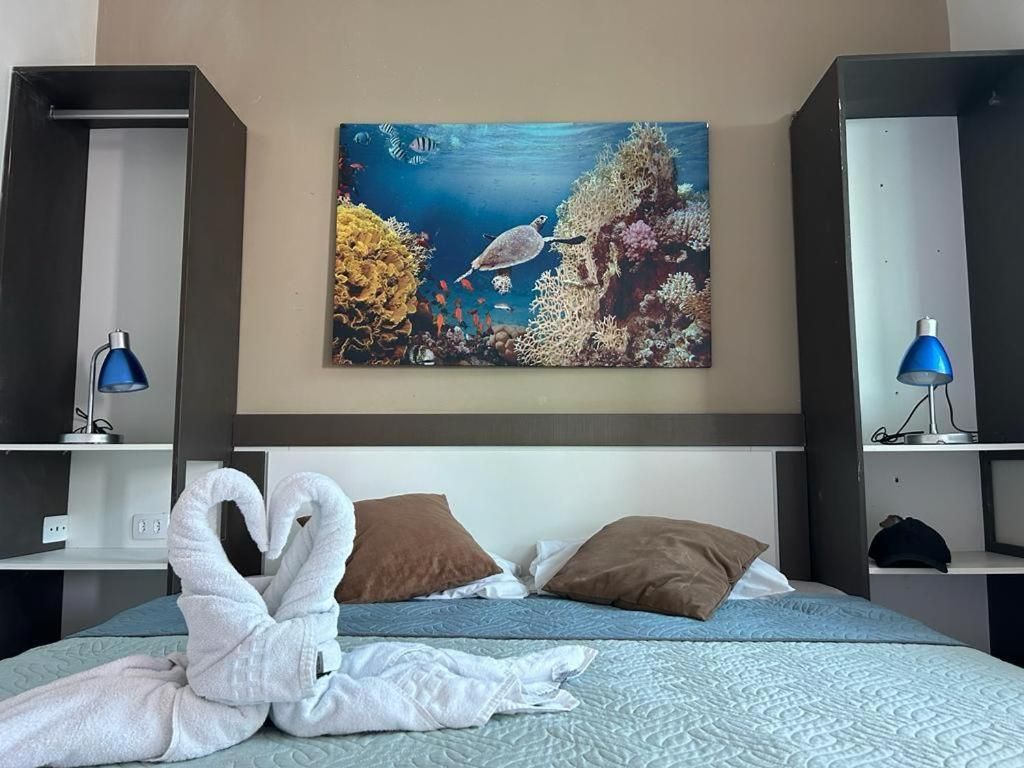Há uma foto de uma tartaruga na parede acima da cama.