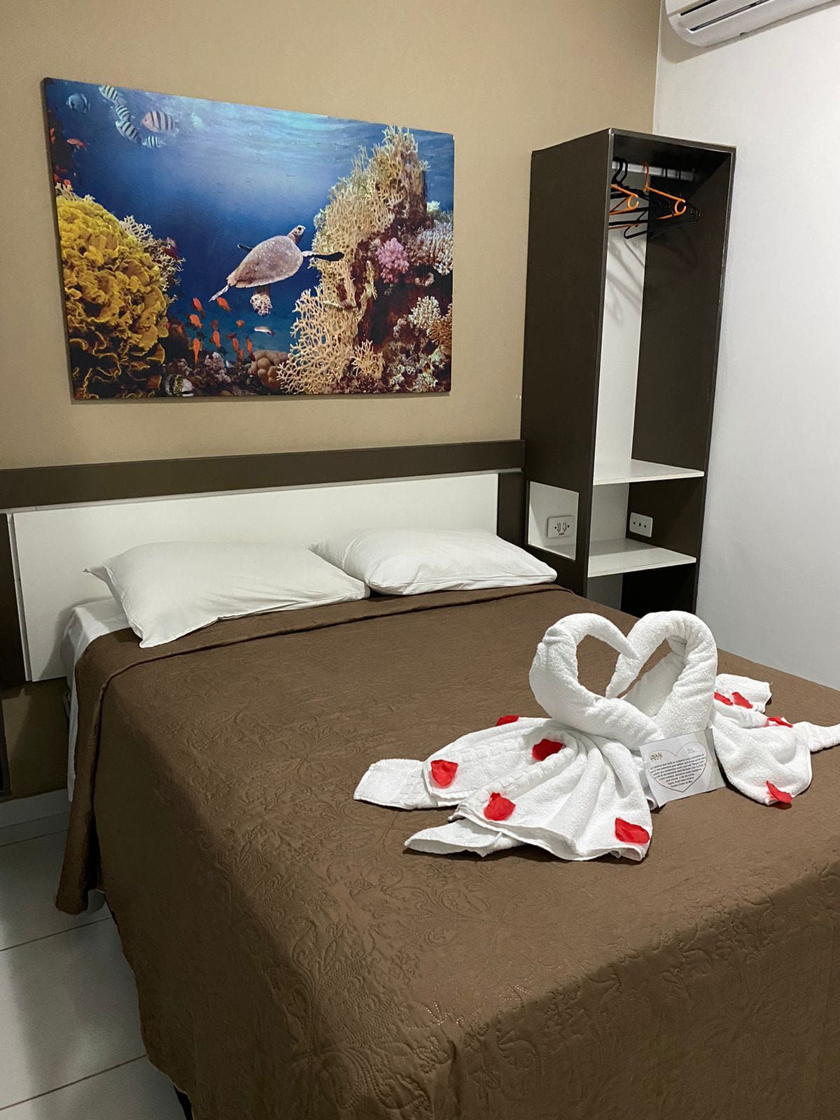 Há uma foto de uma tartaruga na parede acima da cama.