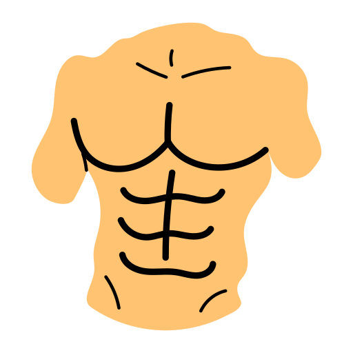 Diagram of torso muscles