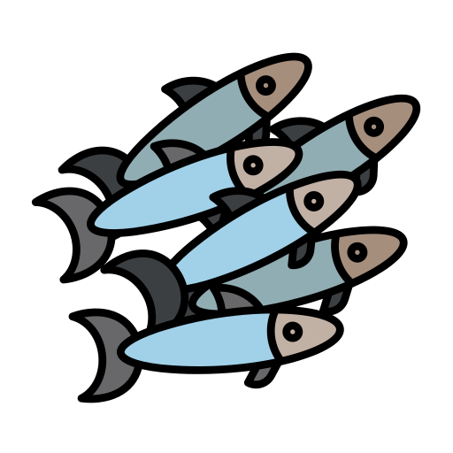Diagram of anchovies