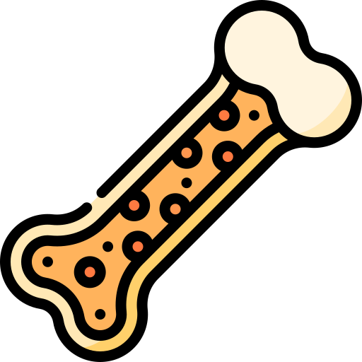 Bone icon to indicate that osteoporosis & bone fracture can be prevented by a Mediterranean diet