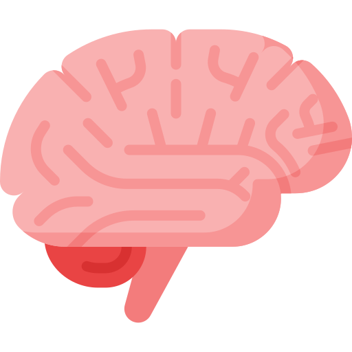 Brain icon indicating that mental and brain diseases can be prevented by a Mediterranean diet