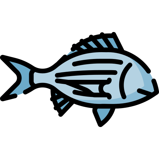 Diagram of sea bream