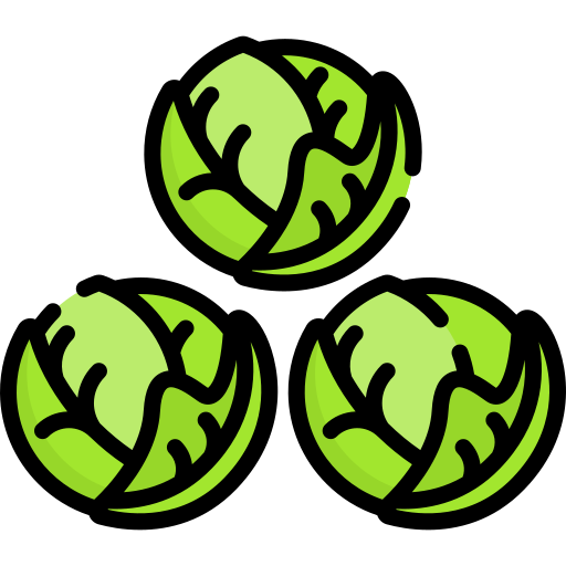 Diagram of brussels sprouts