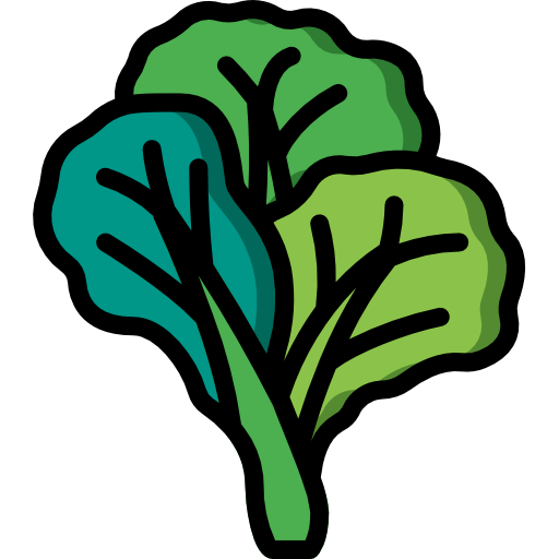 Diagram of collards (spring greens)