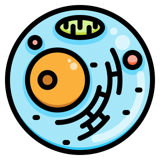 Diagram of a body cell