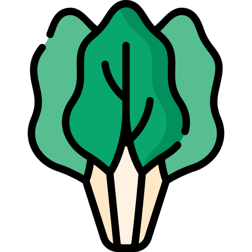 Diagram of Swiss chard