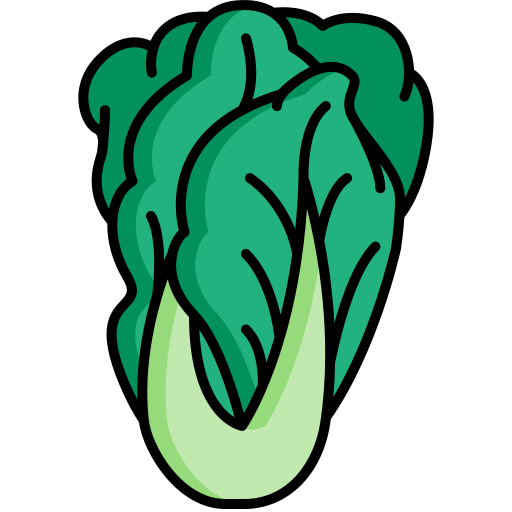 Diagram of pak choi (Chinese cabbage)