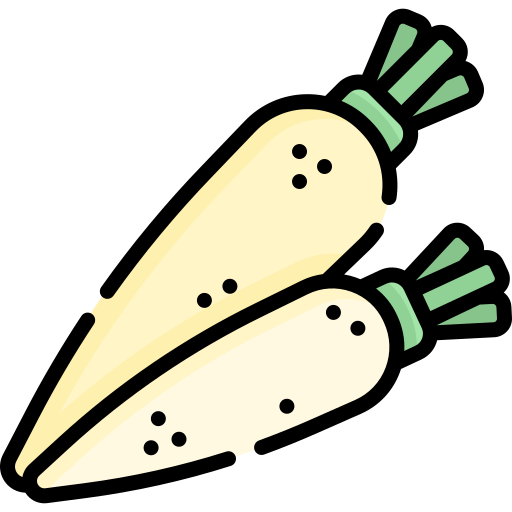 Diagram of daikon (aka white radish, mooli)