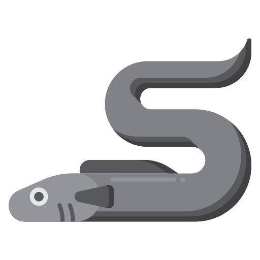 Diagram of an eel