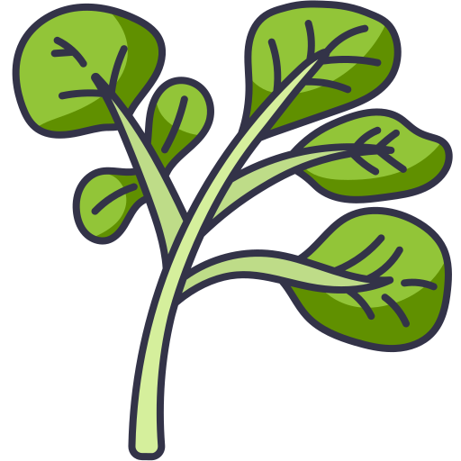 Diagram of watercress