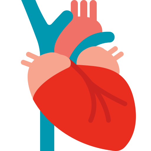 Heart icon to highlight that heart and circulatory diseases can be prevented by a Mediterranean diet